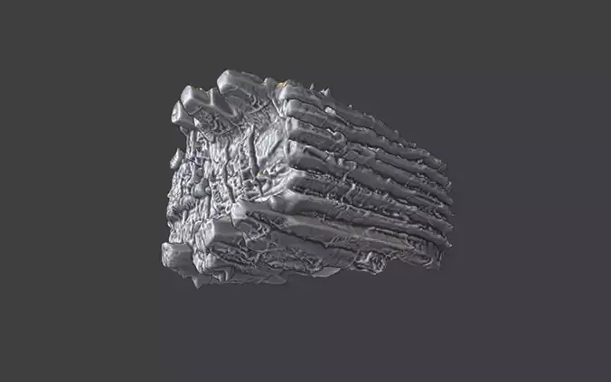 organic rock texture ring v2 3D print model