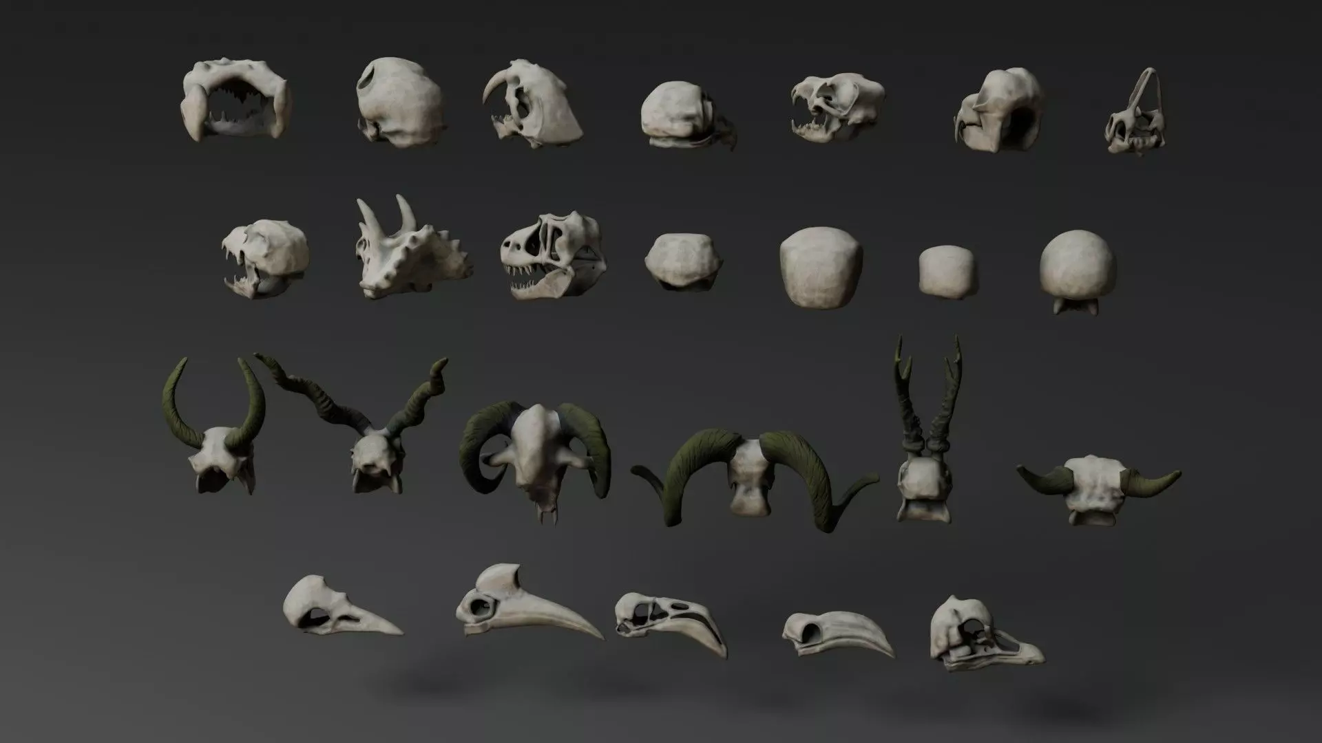 Skull Assets 3D model_8