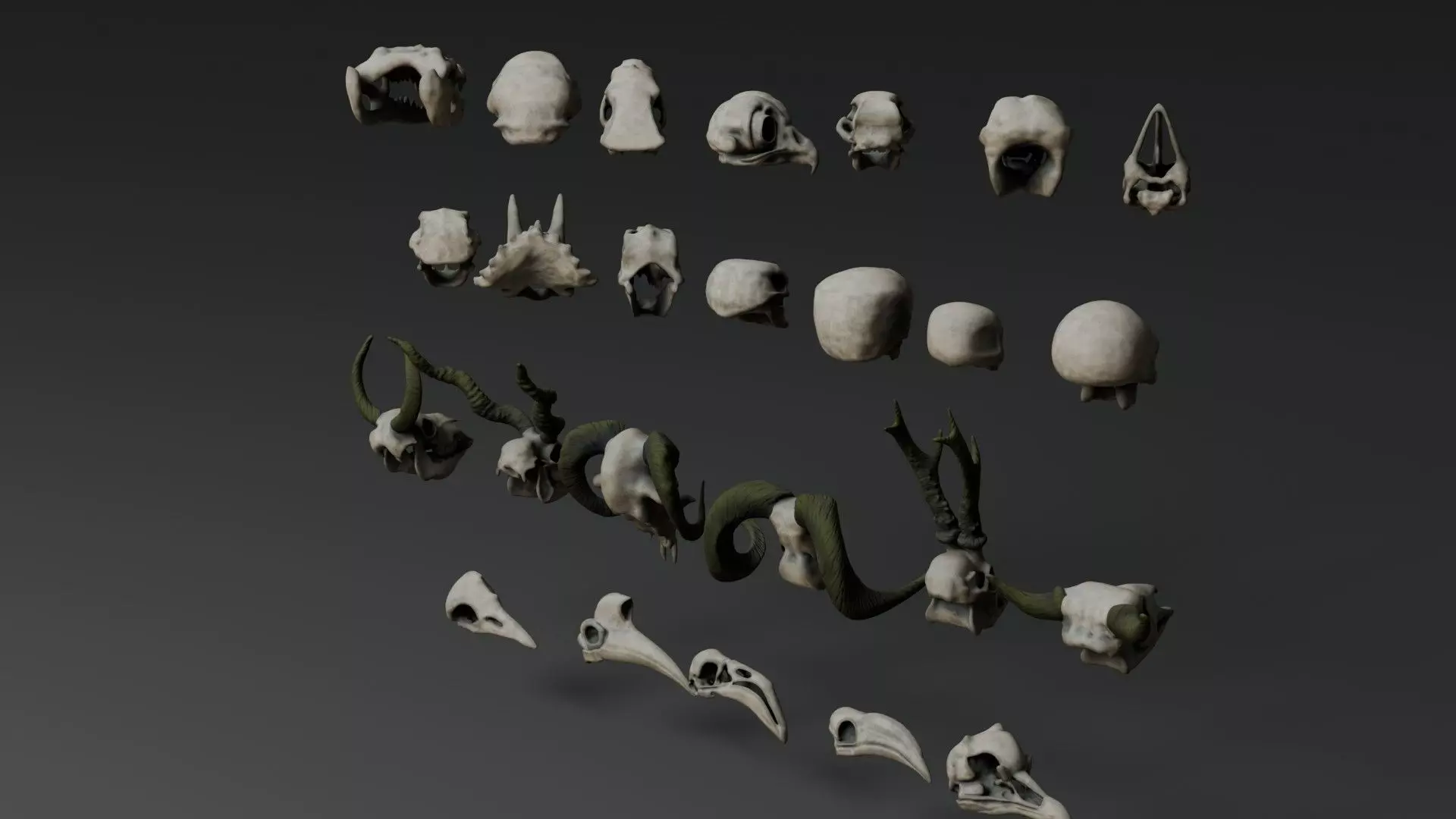 Skull Assets 3D model_7
