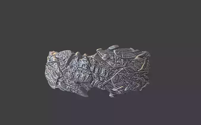 organic rock texture ring v7 3D print model