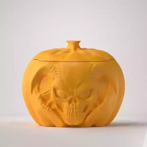Jack-o-lantern 16