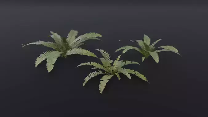 A realistic 3D fern
