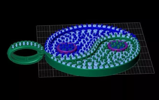 Yin and Yang The Locket 3D print model 3D print model_1