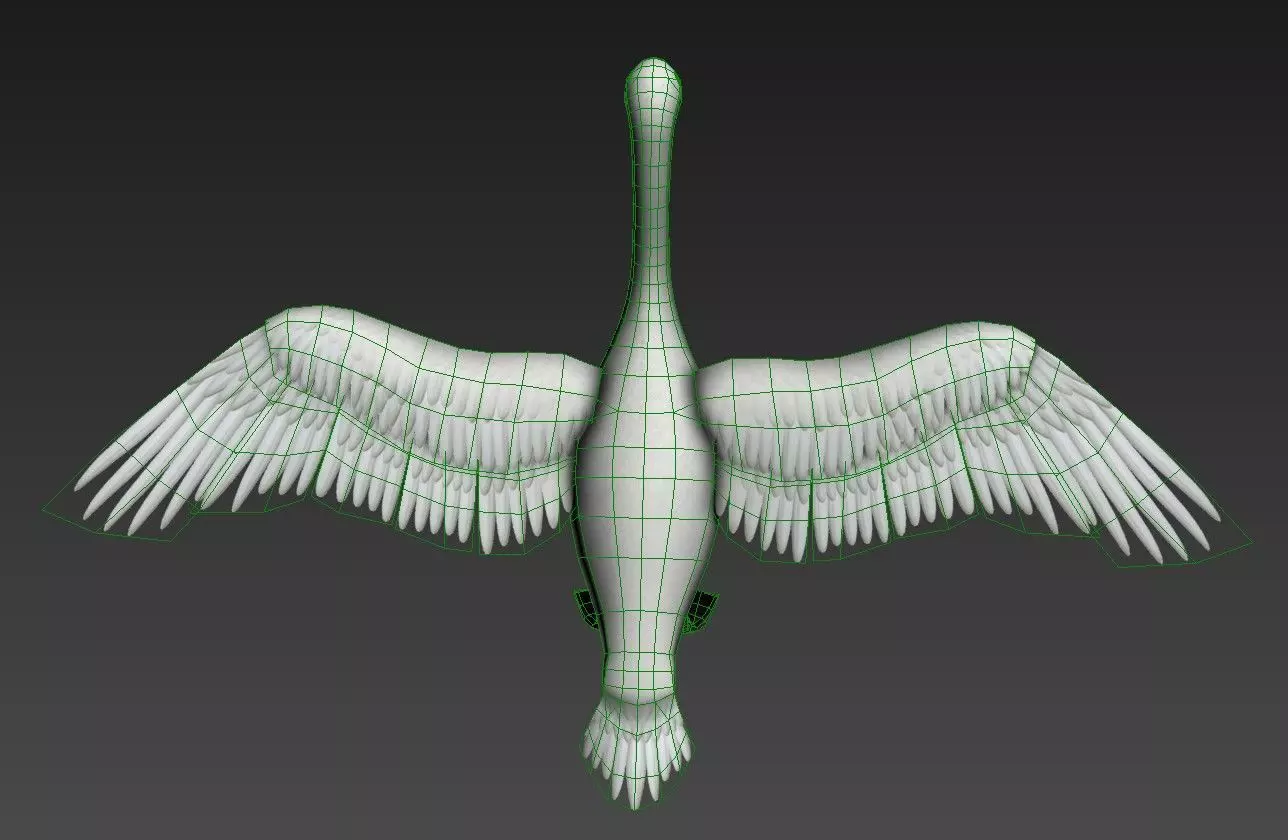 Swan Goose Low-poly 3D model_16