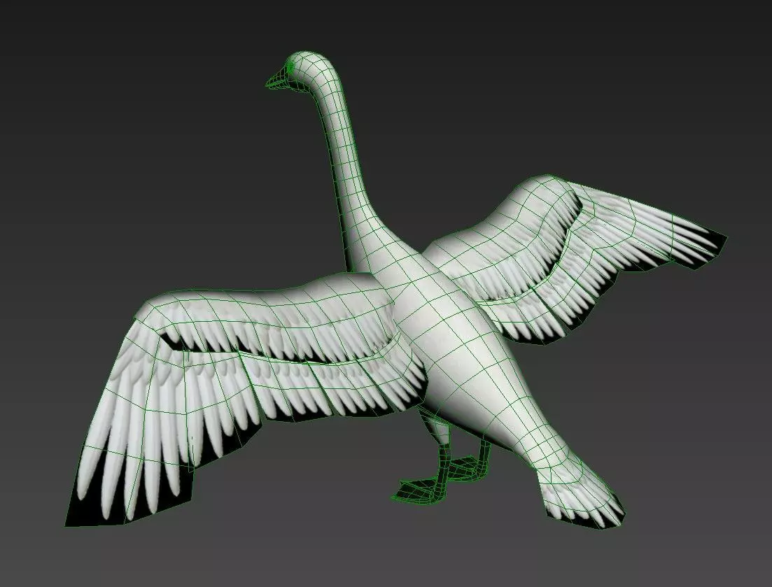 Swan Goose Low-poly 3D model_19