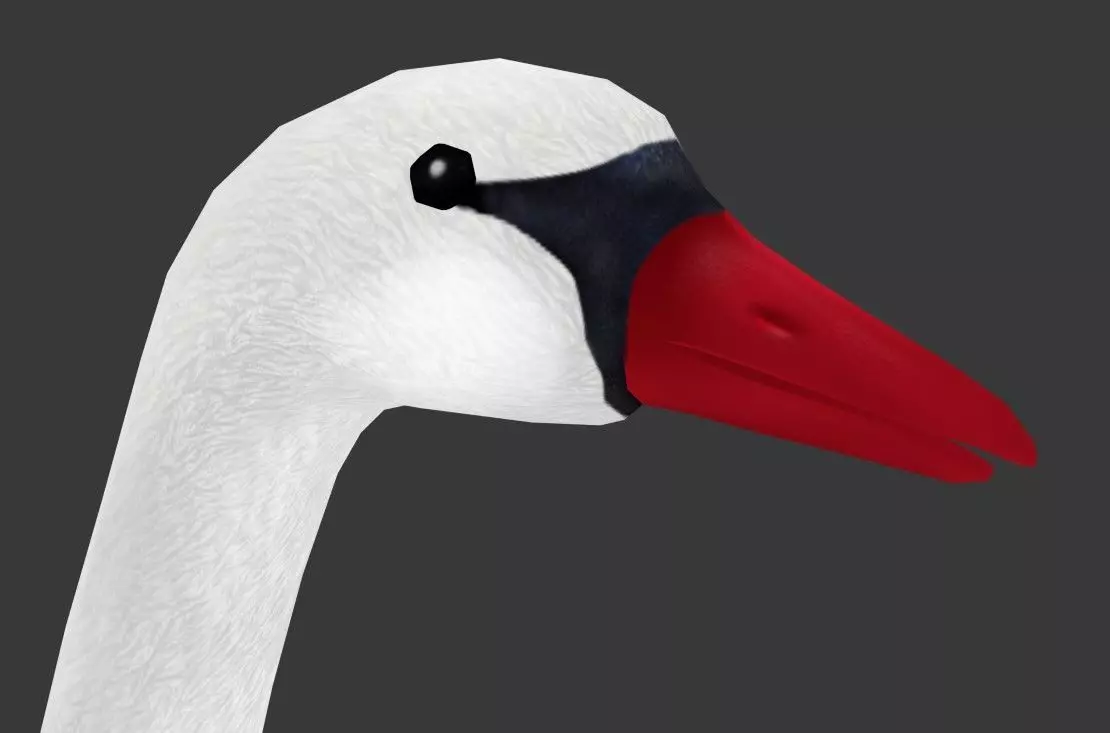 Swan Goose Low-poly 3D model_9