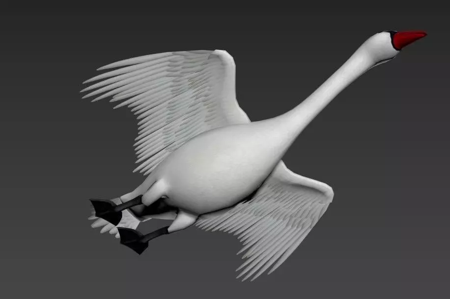 Swan Goose Low-poly 3D model_12