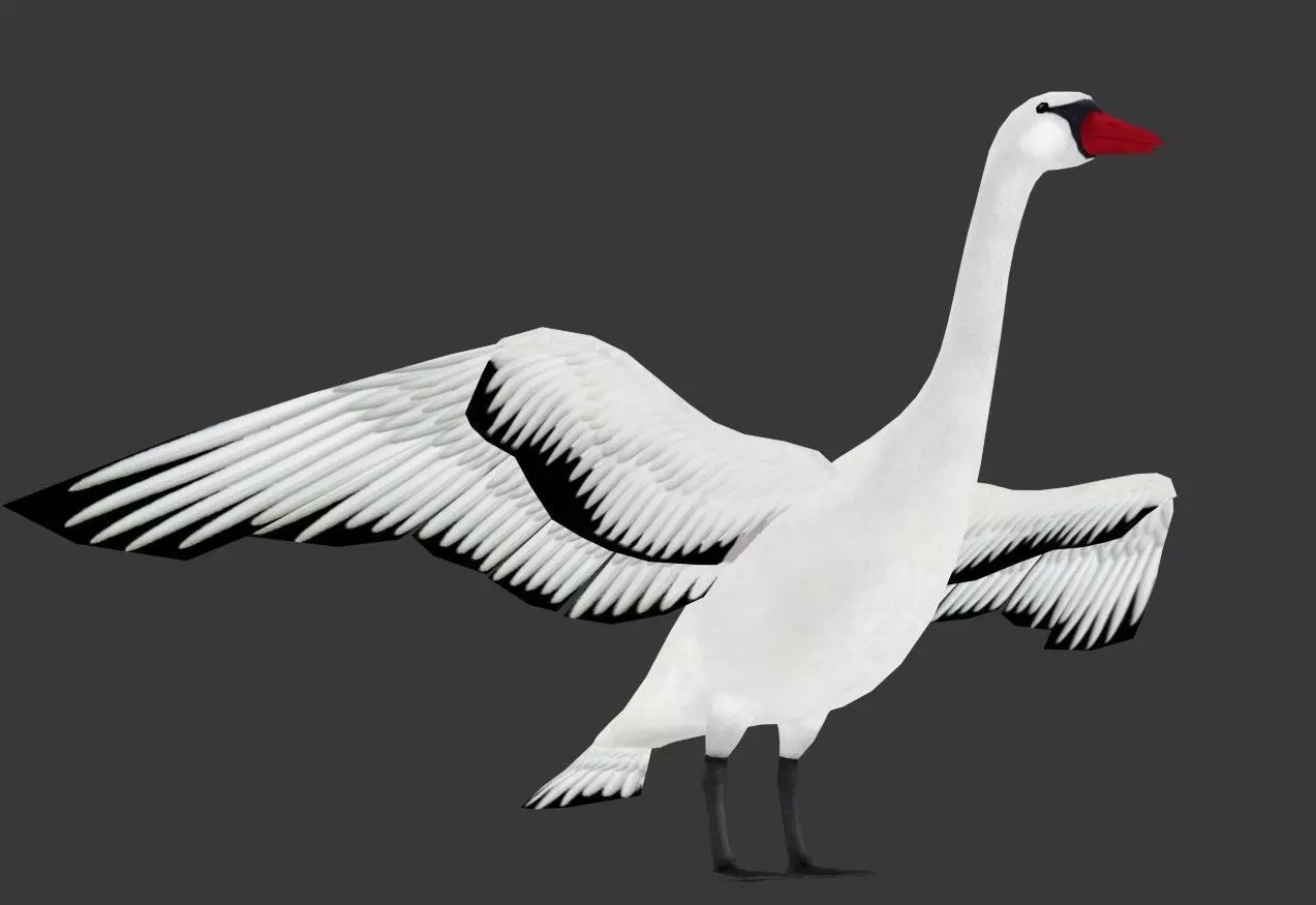 Swan Goose Low-poly 3D model_5