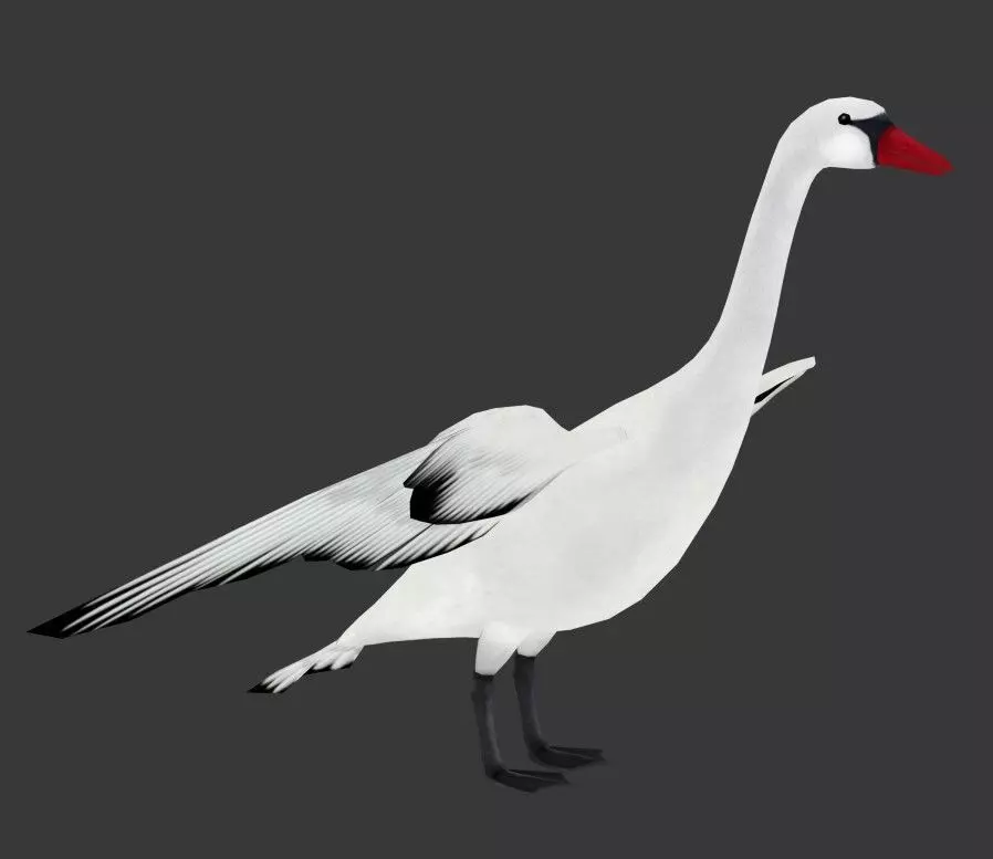 Swan Goose Low-poly 3D model_8