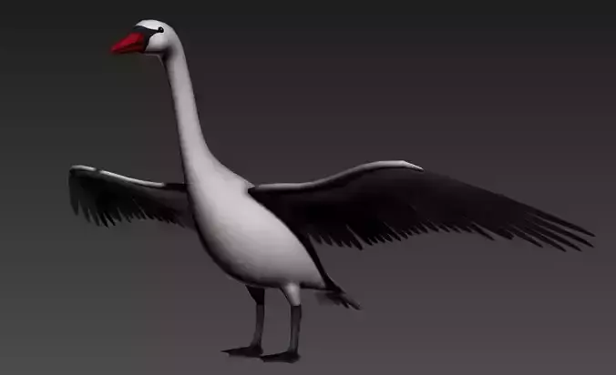 Swan Goose