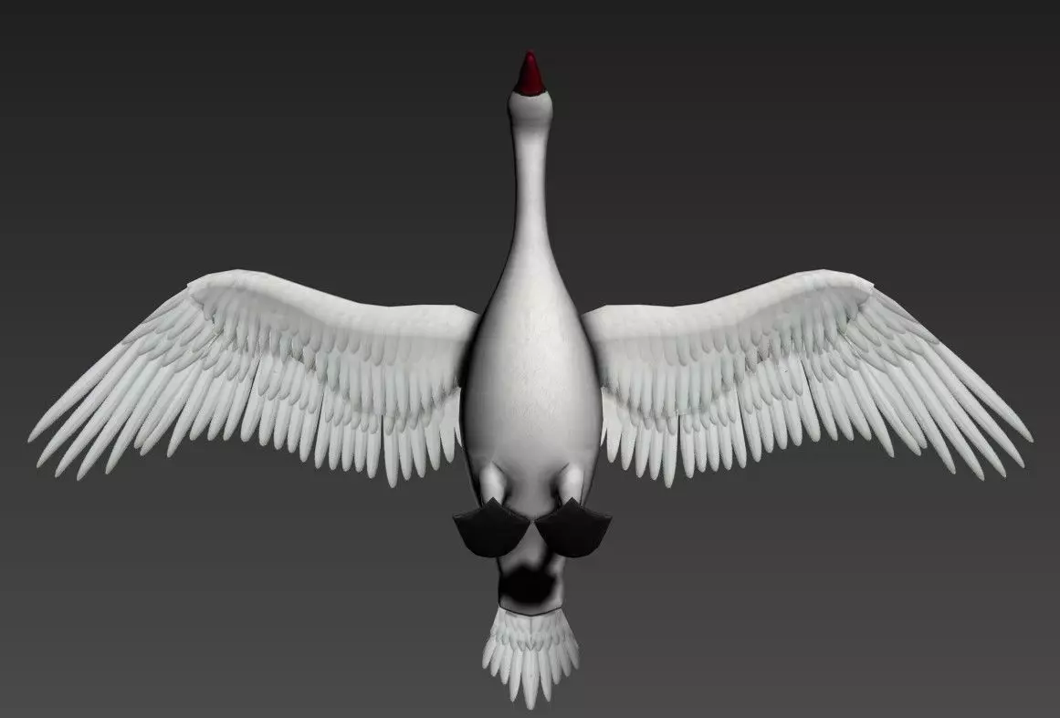Swan Goose Low-poly 3D model_4