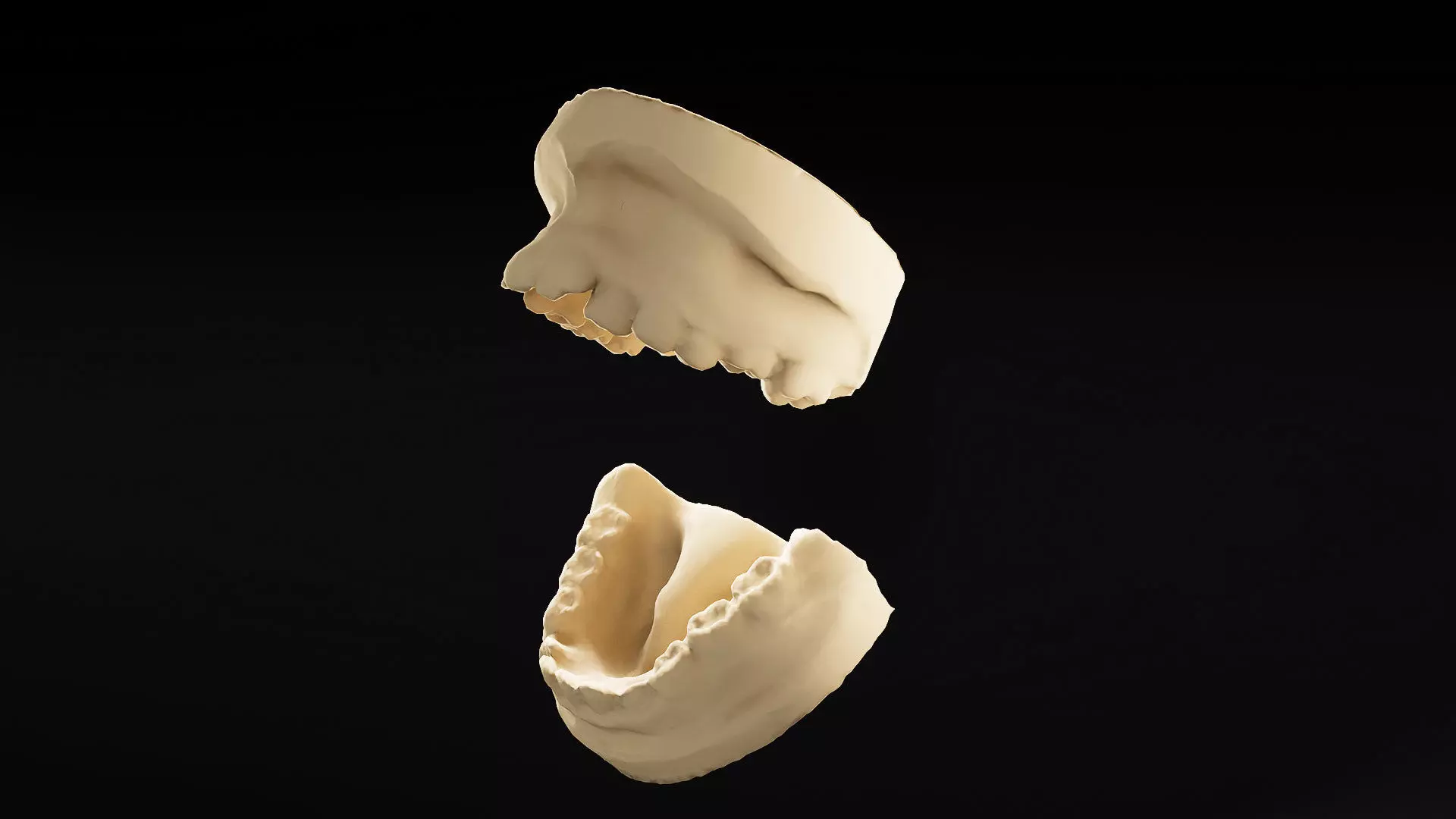 basic scanned dental cast of mouth and teeth 3d prop or model 3D model_1