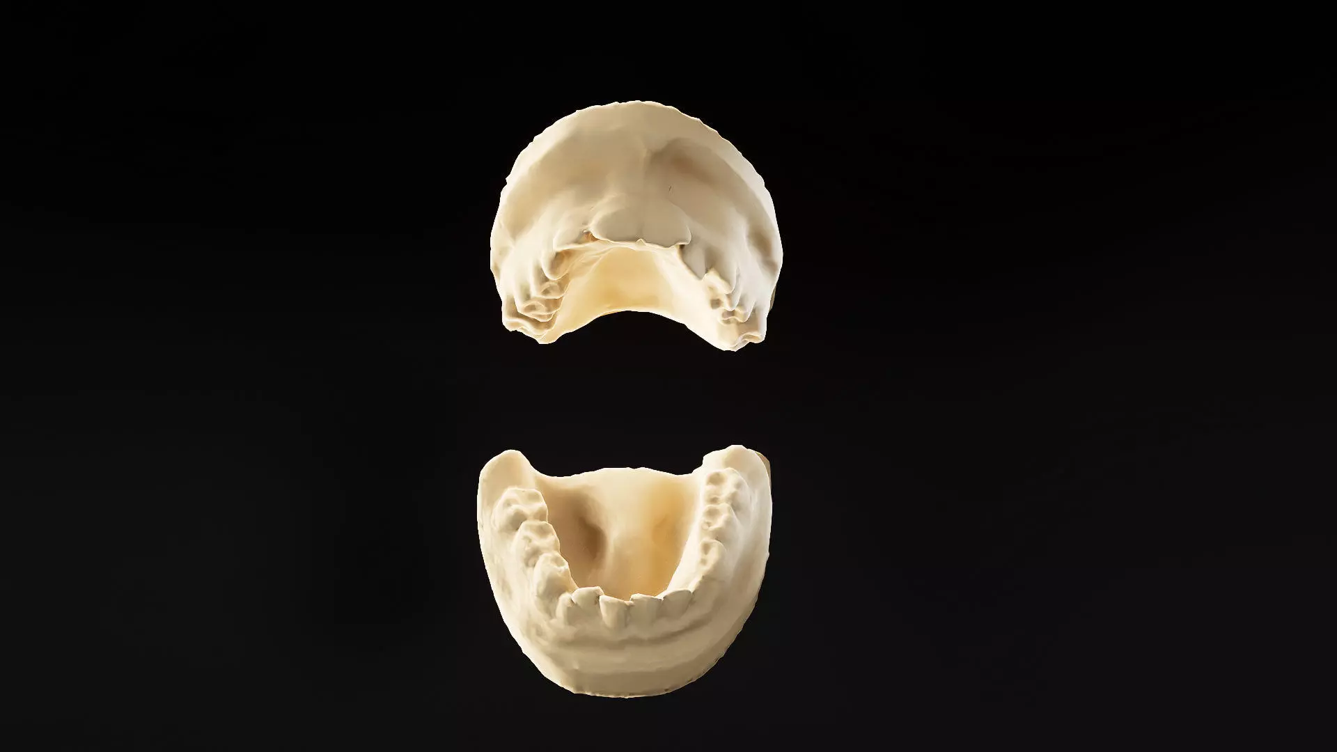 basic scanned dental cast of mouth and teeth 3d prop or model 3D model_2