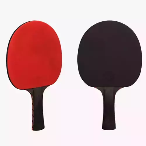 Ping Pong Racket