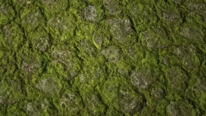 Mossy Stone PBR Texture