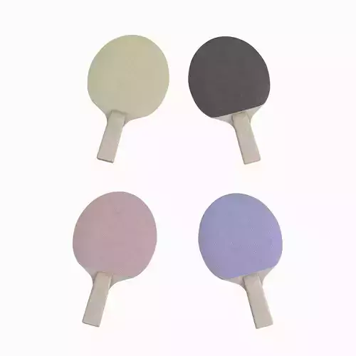 Table Tennis Racket Set