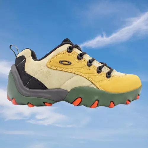 Oakley Flesh One Sneakers Collectible 3D Sculpture 3D print model