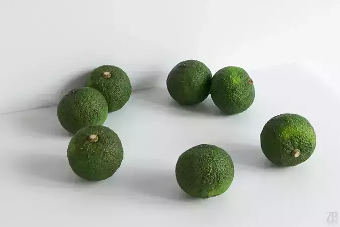 Yuzu  3D model