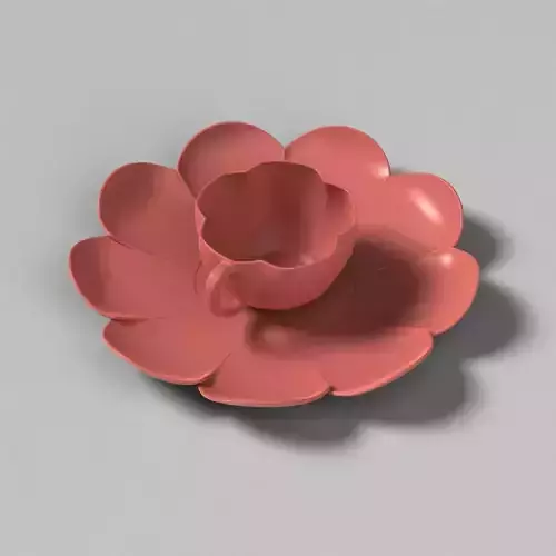 Cup and Plate