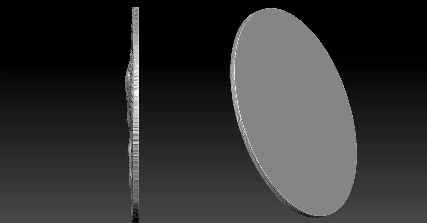 1 bird seed coin CNC Relief Model 3D print model_8