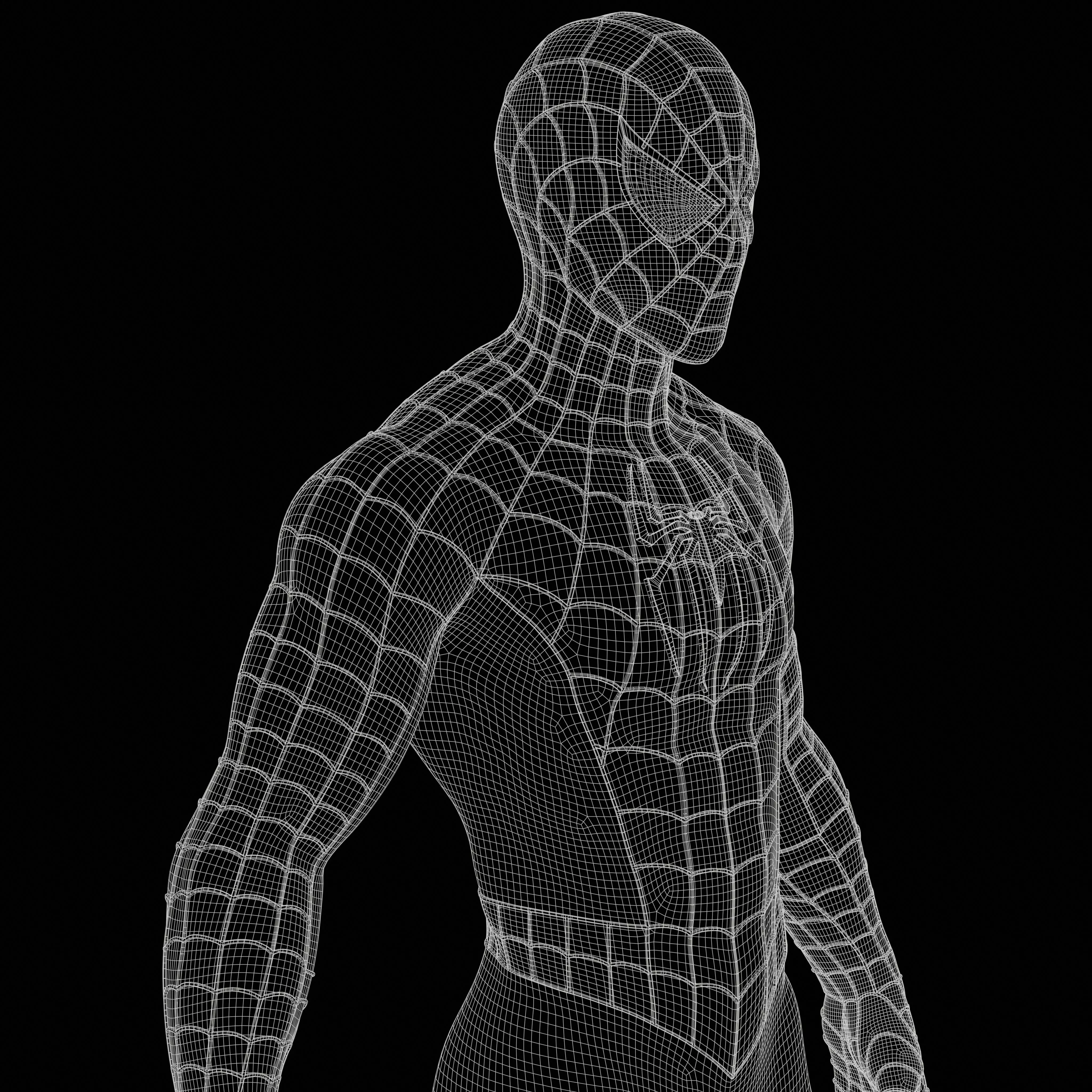 Spider-Man Sam Raimi Suit 3D model_4