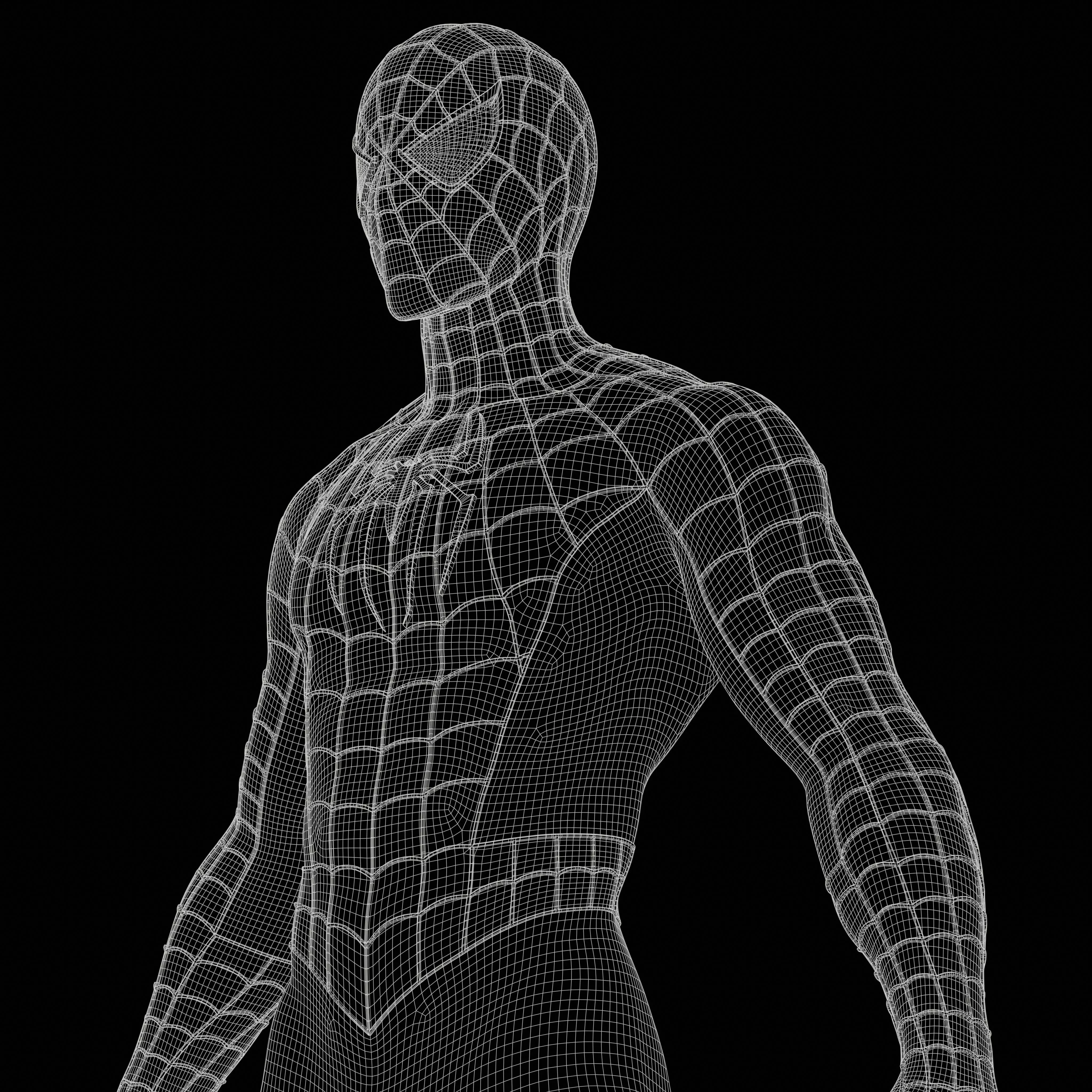 Spider-Man Sam Raimi Suit 3D model_6