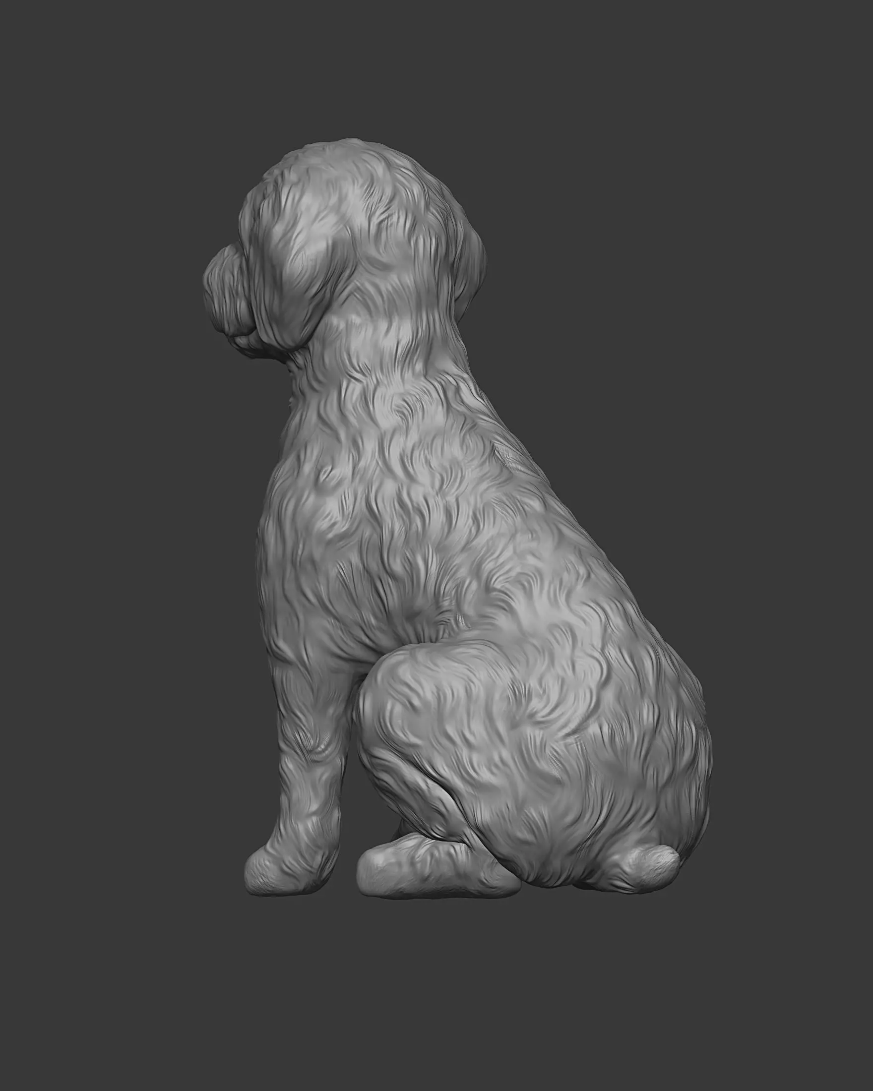 Sitting Poodle Dog 3D print model_23