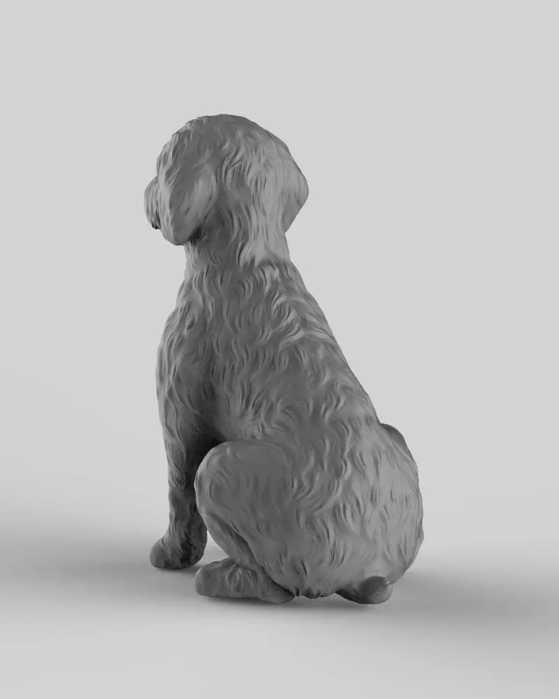 Sitting Poodle Dog 3D print model_14
