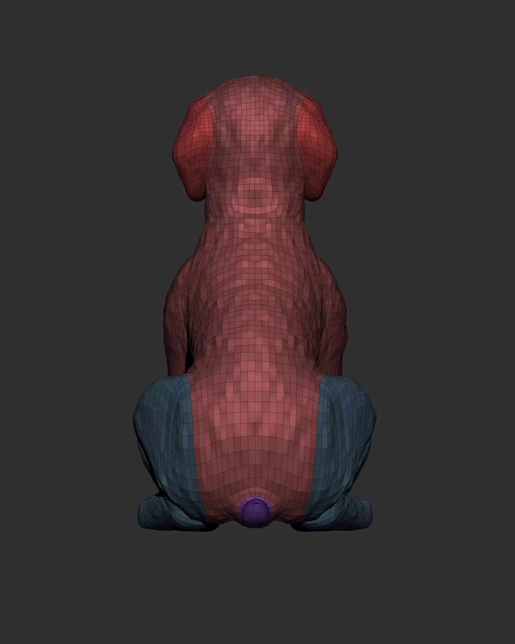 Sitting Poodle Dog 3D print model_18