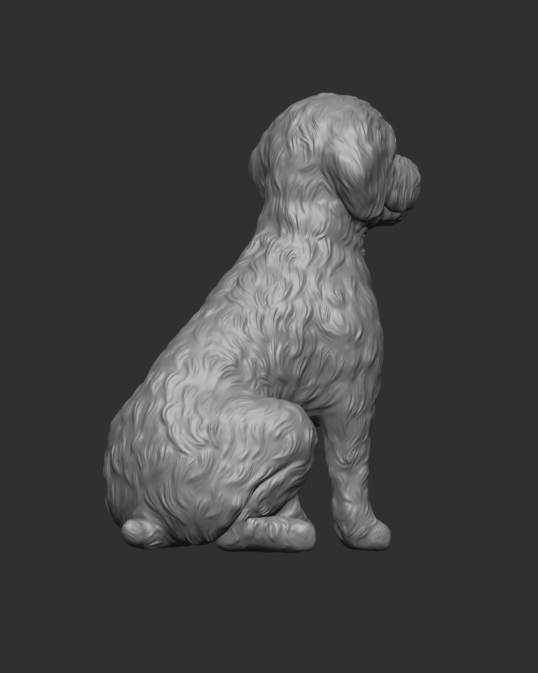 Sitting Poodle Dog 3D print model_24