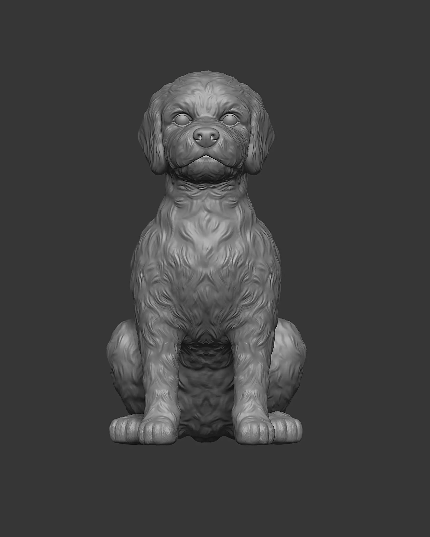 Sitting Poodle Dog 3D print model_21