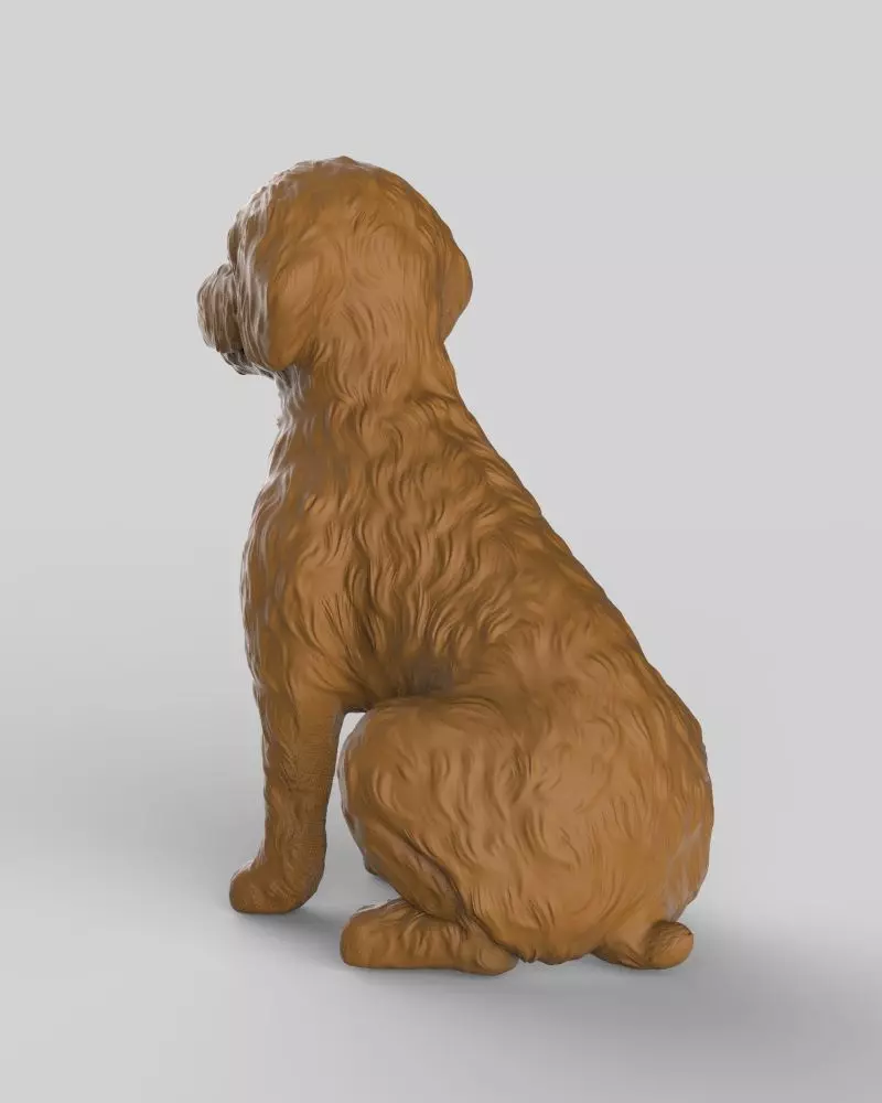Sitting Poodle Dog 3D print model_8