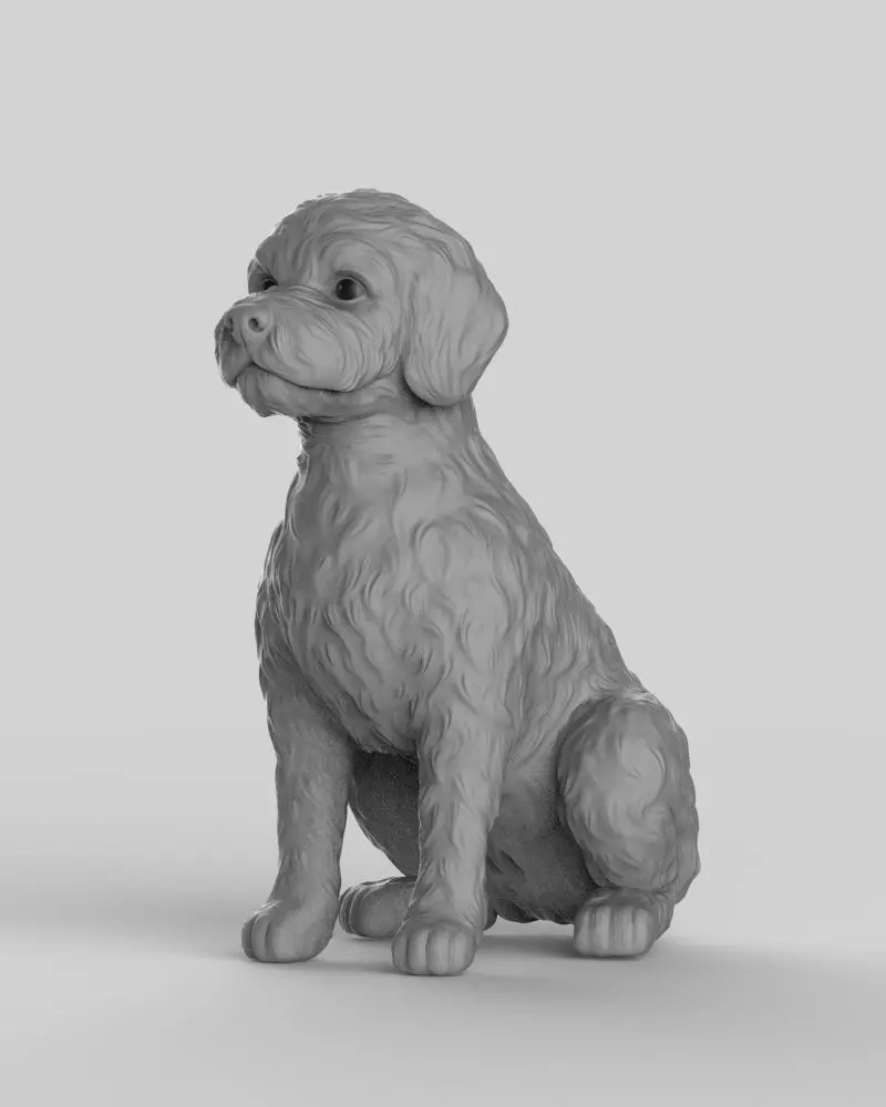 Sitting Poodle Dog 3D print model_15
