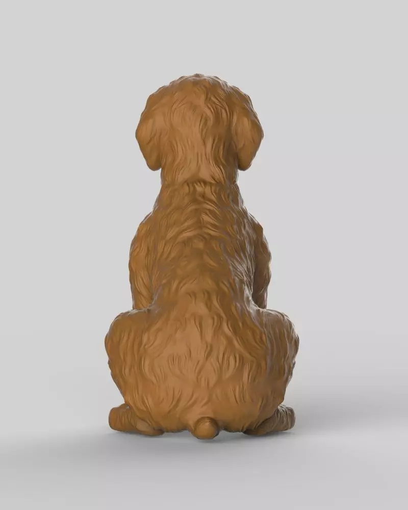 Sitting Poodle Dog 3D print model_7