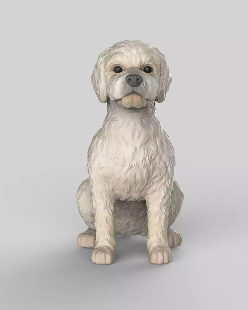 Sitting Poodle Dog 3D print model_1