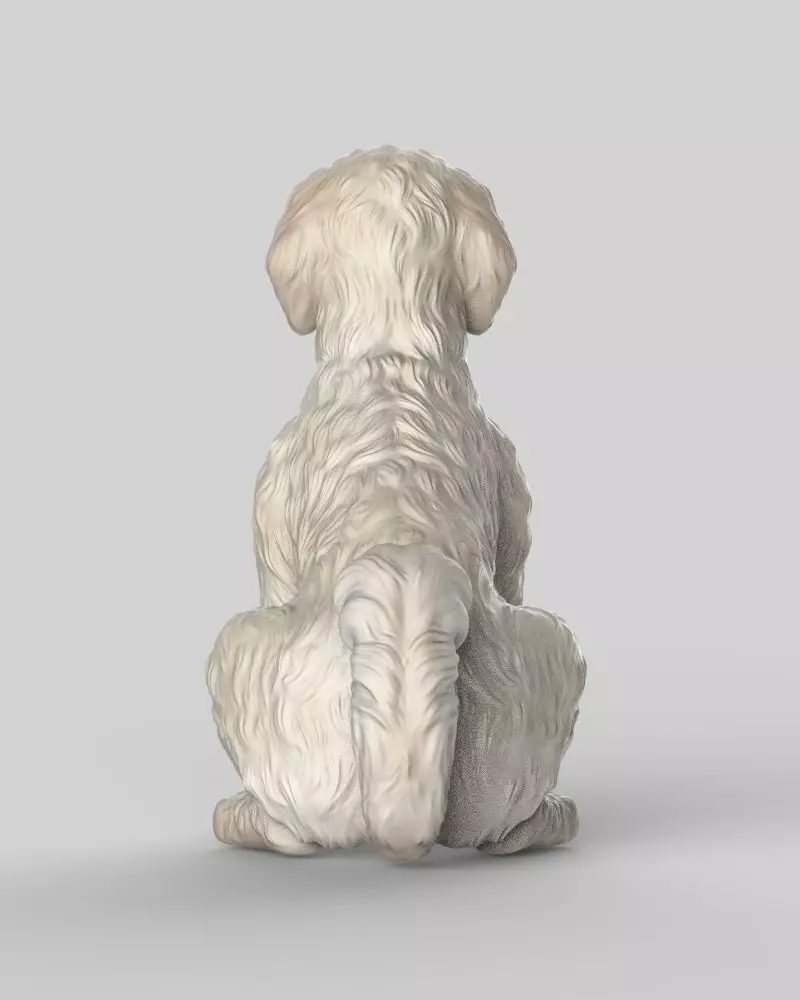 Sitting Poodle Dog 3D print model_3