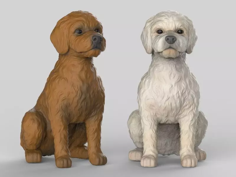 Sitting Poodle Dog 3D print model_0