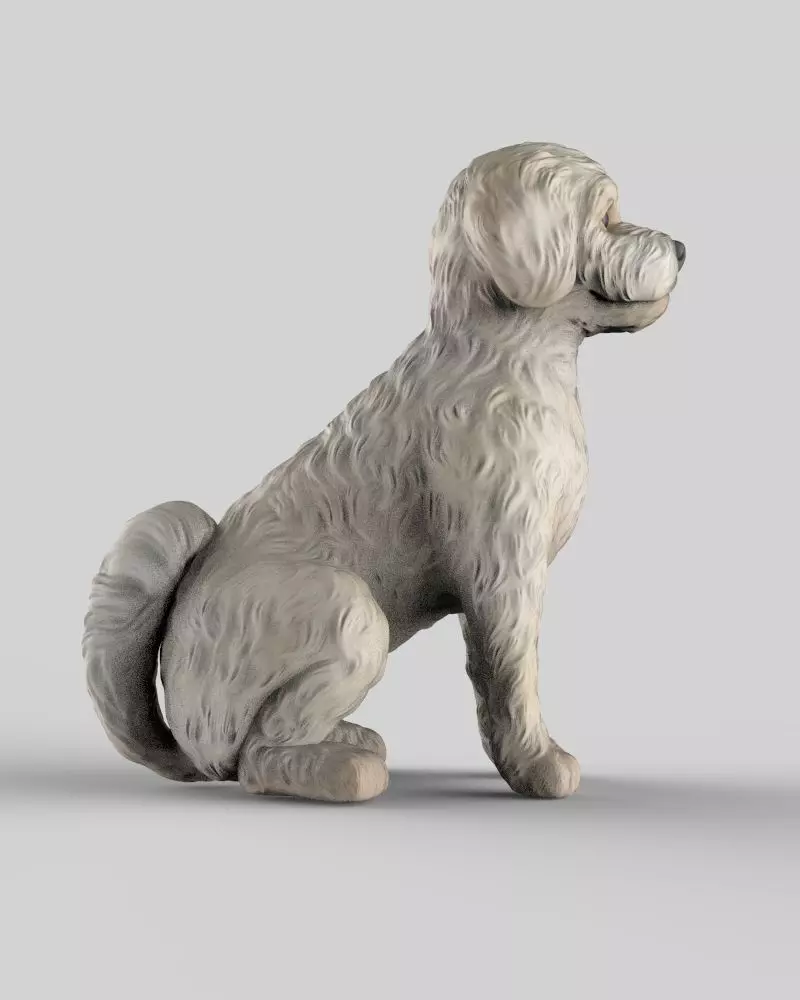 Sitting Poodle Dog 3D print model_4
