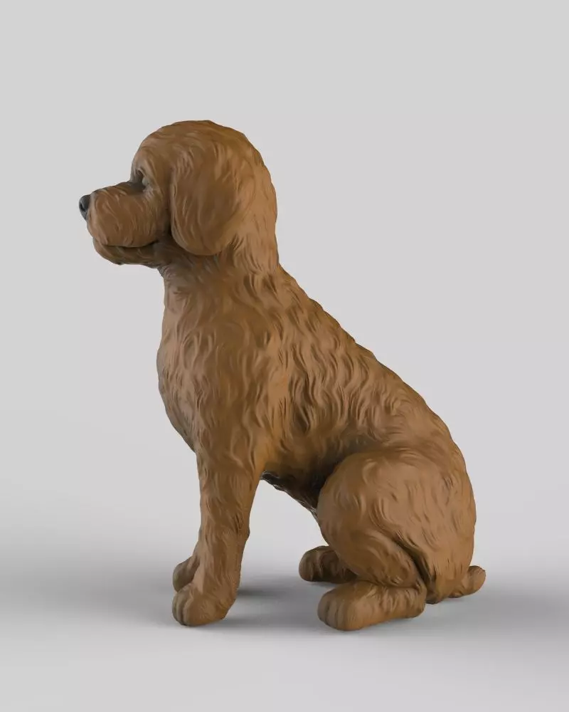 Sitting Poodle Dog 3D print model_6