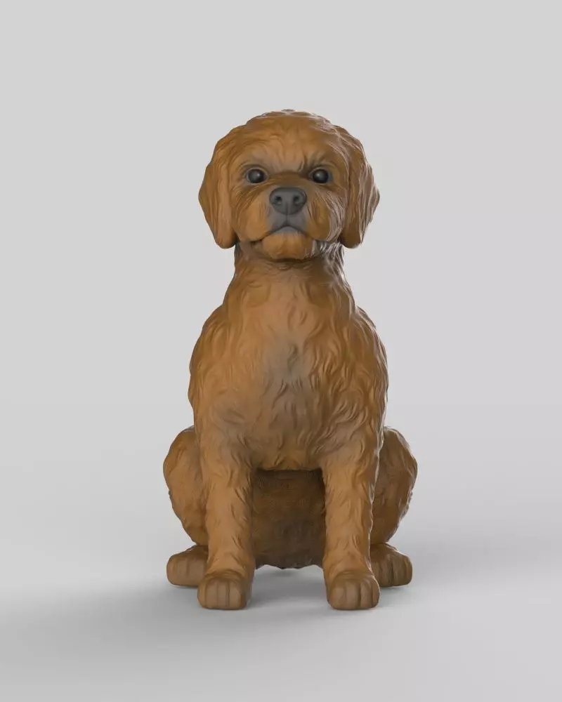 Sitting Poodle Dog 3D print model_9