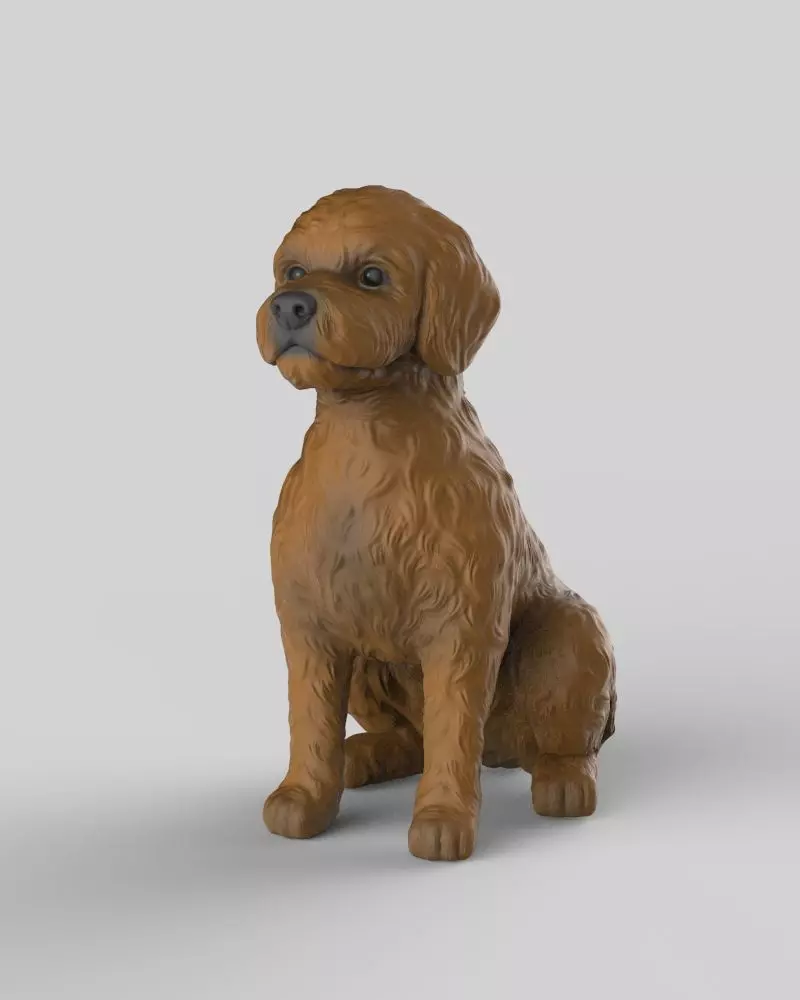 Sitting Poodle Dog 3D print model_10