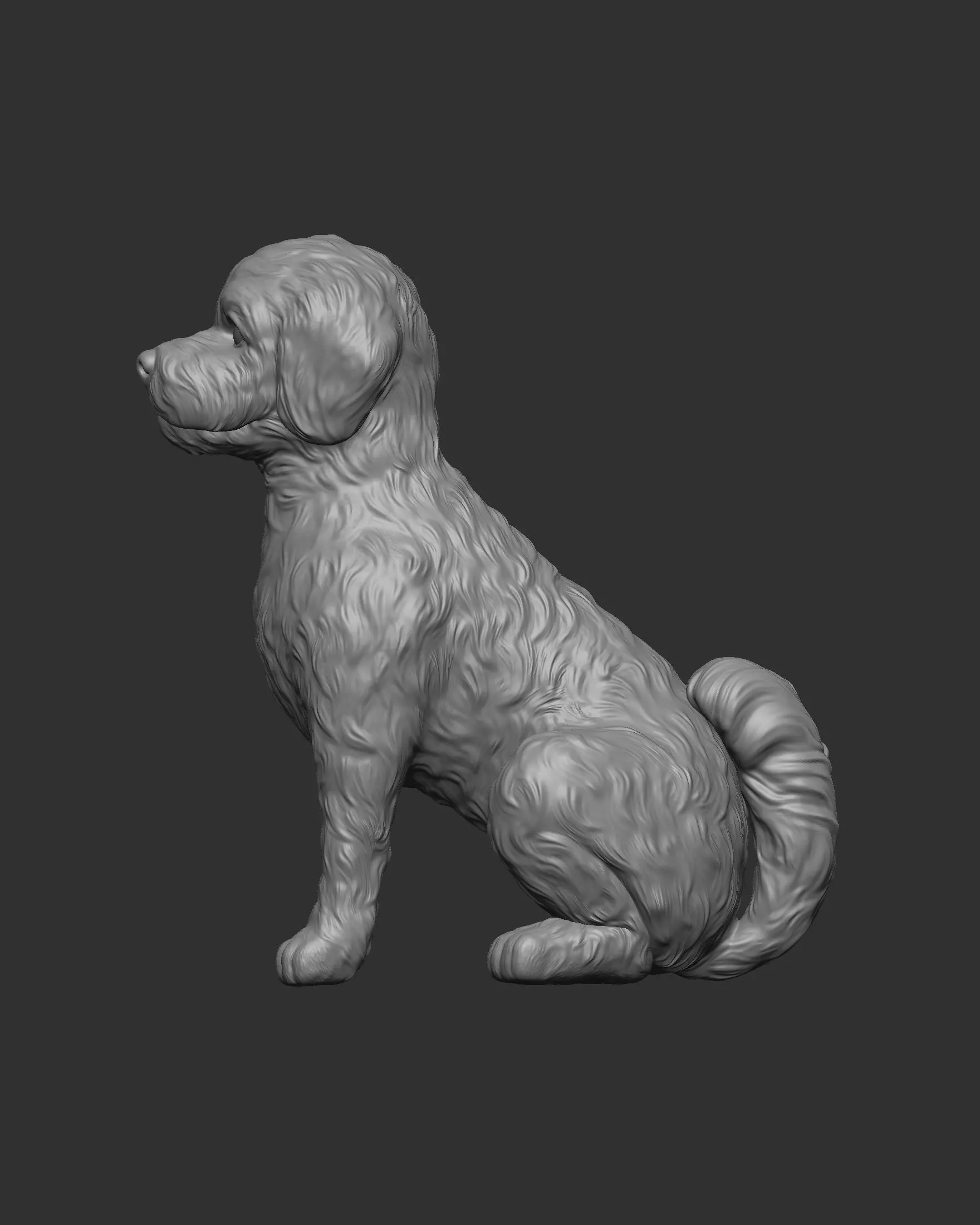 Sitting Poodle Dog 3D print model_25