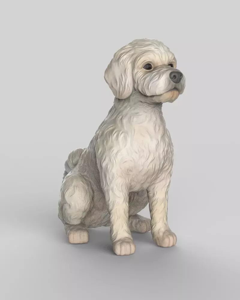 Sitting Poodle Dog 3D print model_2