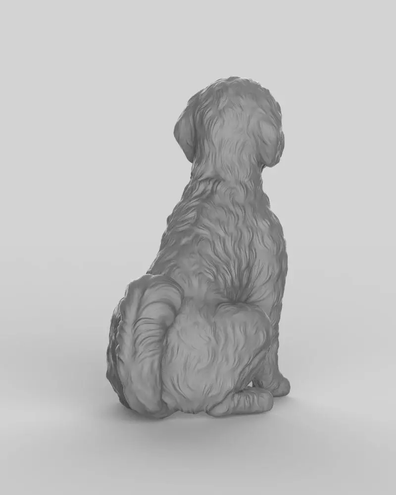 Sitting Poodle Dog 3D print model_13