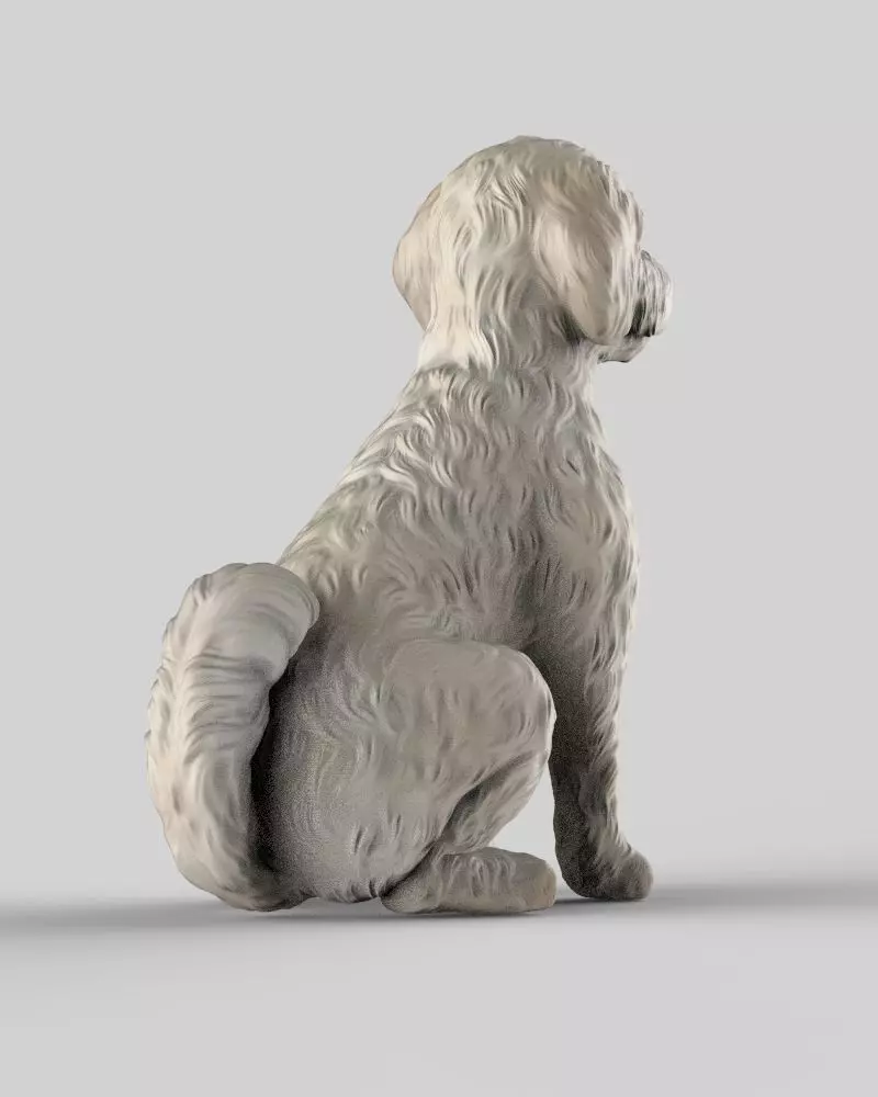 Sitting Poodle Dog 3D print model_5