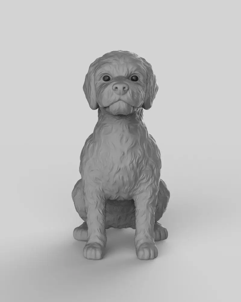 Sitting Poodle Dog 3D print model_11