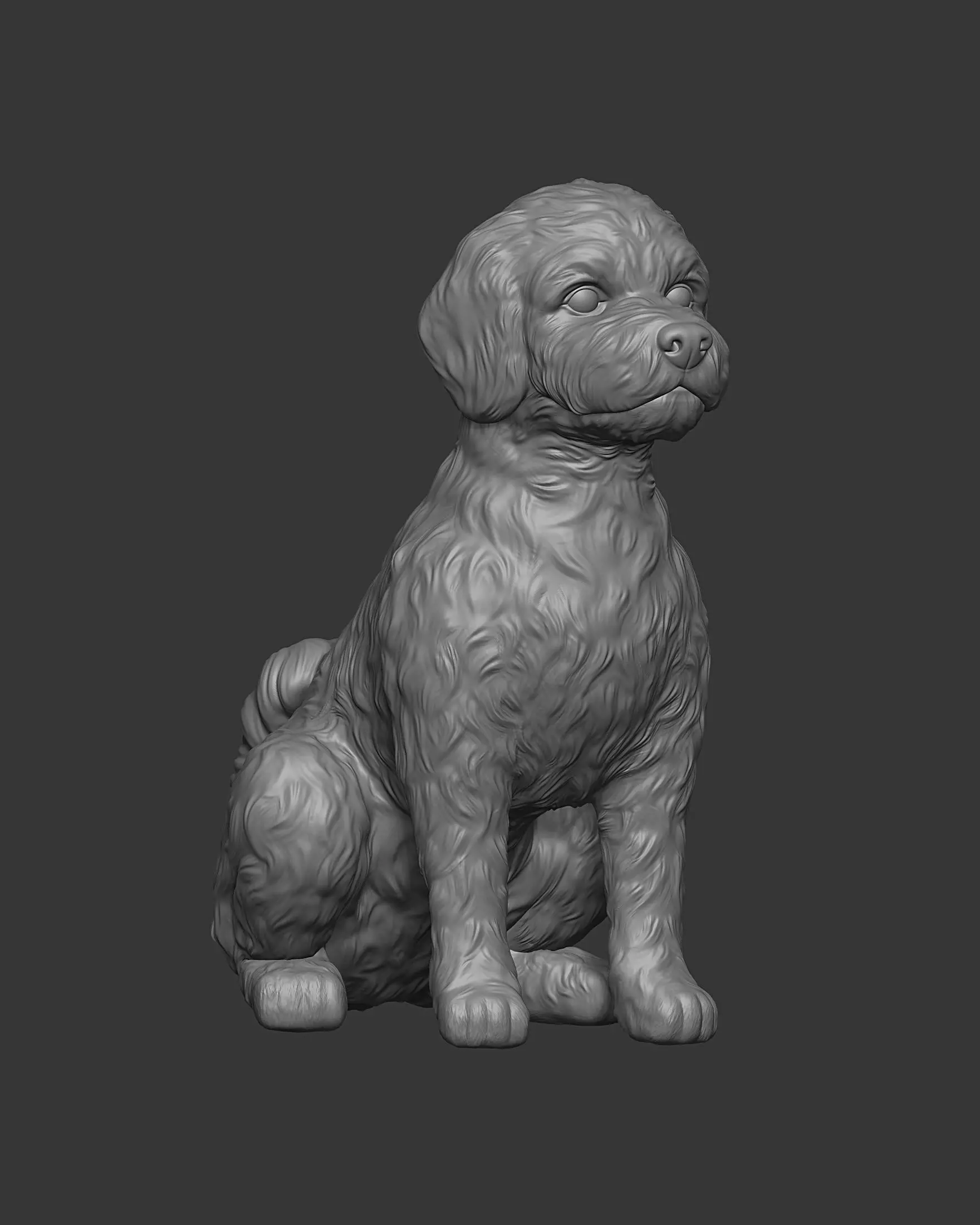Sitting Poodle Dog 3D print model_22