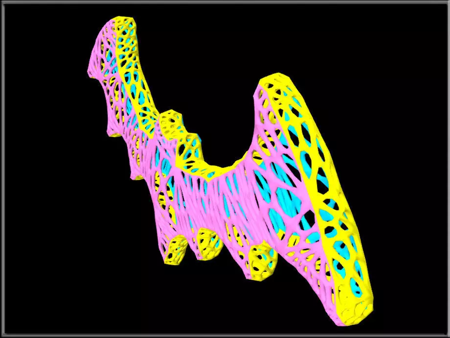 BAT FLY Reticulation Low-poly 3D model_1