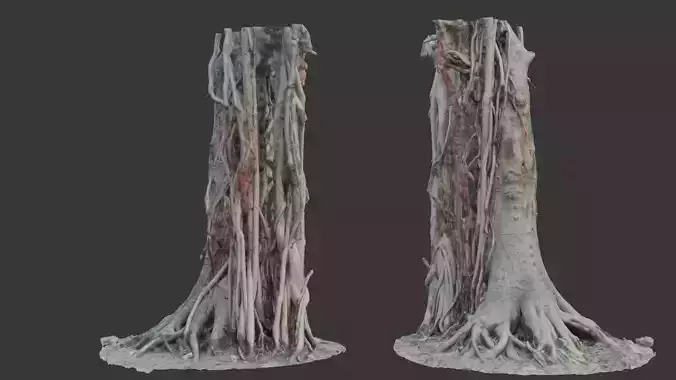  Tree Trunk with Roots Scan