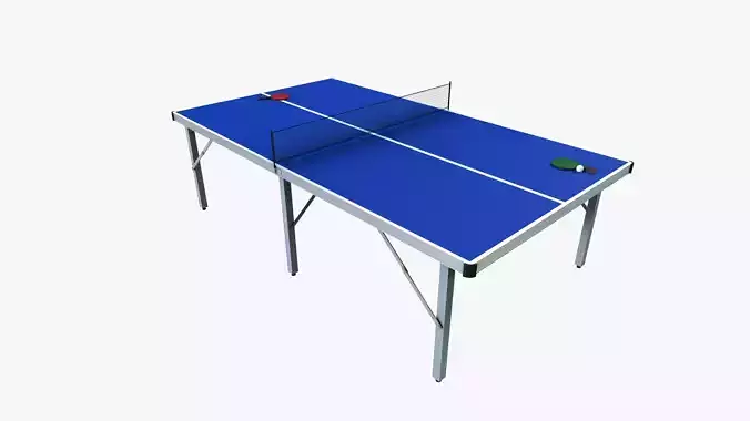 Ping Pong Table